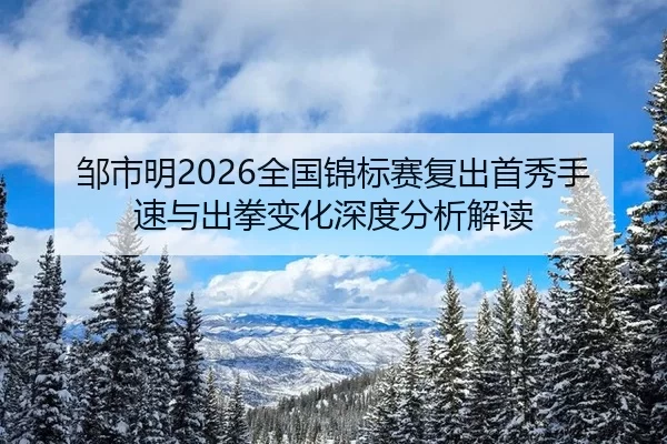 邹市明2026全国锦标赛复出首秀手速与出拳变化深度分析解读